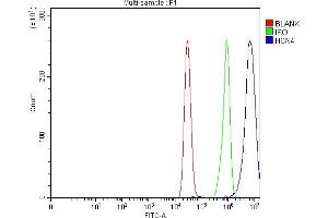 Flow Cytometry analysis of MCF-7 cells using anti-HCN4 antibody (ABIN7602652).