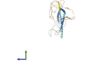 Protein Structure (PS) image for Chromosome 14 Open Reading Frame 39 (C14ORF39) (AA 1-574) protein (His tag) (ABIN7560642)