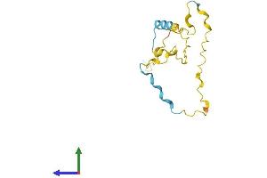 Protein Structure (PS) image for Proline Rich 13 (PRR13) (AA 1-137) protein (His tag) (ABIN7560551)