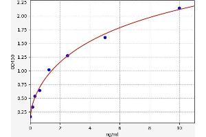 Galectin 7 (LGALS7) ELISA Kit