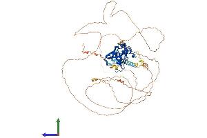 AlphaFold protein structure predicition of Human Recombinant TBX2 Protein, UniprotID Q13207