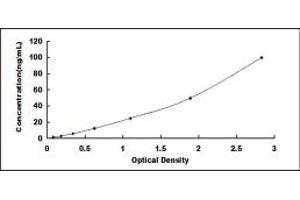 Typical standard curve (Phospholipase D2 ELISA 试剂盒)