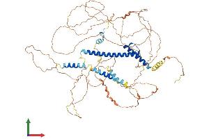 AlphaFold protein structure predicition of Mouse Recombinant Tcf12 Protein, UniprotID Q61286