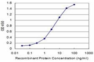 Detection limit for recombinant GST tagged AXIN1 is approximately 0. (Axin 抗体  (AA 643-740))