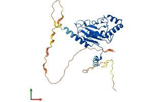 Protein Structure (PS) image for AKT Interacting Protein (AKTIP) (AA 1-292) protein (His tag) (ABIN7557834)