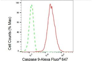 Flow cytometric analysis of Caspase 9 expression in HepG2 cells using Caspase 9 antibody (ABIN7797910), 1:2,000). (Recombinant Caspase 9 抗体)