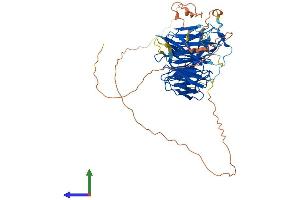 Protein Structure (PS) image for Chromatin Assembly Factor 1, Subunit B (p60) (CHAF1B) (AA 1-572) protein (His tag) (ABIN7560844)
