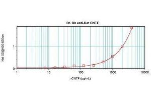 Image no. 2 for anti-Ciliary Neurotrophic Factor (CNTF) antibody (Biotin) (ABIN465709) (CNTF 抗体  (Biotin))