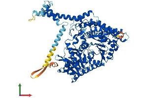 Protein Structure (PS) image for Carnitine Palmitoyltransferase 1B (Muscle) (CPT1B) (AA 1-772) protein (His tag) (ABIN7560262)