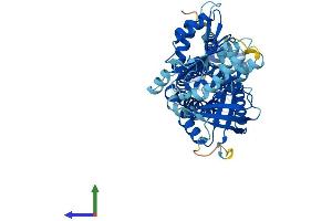 Protein Structure (PS) image for NADPH Oxidase 3 (NOX3) (AA 1-568) protein (His tag) (ABIN7557871)