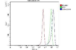 Flow Cytometry analysis of RT4 cells using anti-SHROOM4 antibody (ABIN7600980). (Shroom Family Member 4 (SHROOM4) (AA 262-928) 抗体)