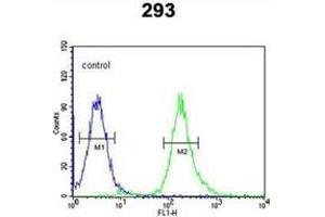Flow cytometric analysis of 293 cells using Syntaxin 1A / STX1A Antibody (N-term) Cat. (STX1A 抗体  (N-Term))