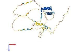 Protein Structure (PS) image for Pancreatic and Duodenal Homeobox 1 (PDX1) (AA 1-283) protein (His tag) (ABIN7550639)