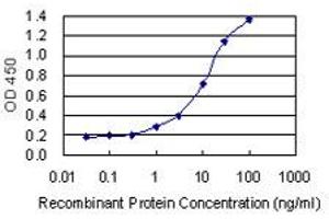 ELISA image for anti-Acidic (Leucine-Rich) Nuclear phosphoprotein 32 Family, Member B (ANP32B) (AA 1-251) antibody (ABIN948954)