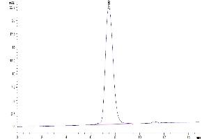 Size-exclusion chromatography-High Pressure Liquid Chromatography (SEC-HPLC) image for CD300a (CD300A) (AA 18-180) protein (Fc Tag) (ABIN7274280)
