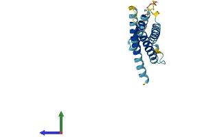 Protein Structure (PS) image for CKLF-Like MARVEL Transmembrane Domain Containing 8 (CMTM8) (AA 1-173) protein (His tag) (ABIN7546608)