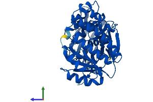 Protein Structure (PS) image for Galactokinase 1 (GALK1) (AA 1-392) protein (His tag) (ABIN7547884)