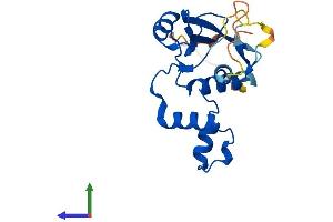 Protein Structure (PS) image for Suppressor of Cytokine Signaling 2 (SOCS2) (AA 1-198) protein (His tag) (ABIN7546111)