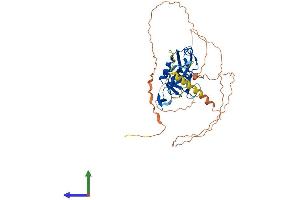 Protein Structure (PS) image for T-Box 19 (TBX19) (AA 1-446) protein (His tag) (ABIN7560405)