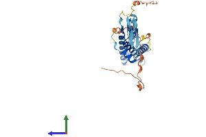 AlphaFold protein structure predicition of Human Recombinant ZDHHC19 Protein, UniprotID Q8WVZ1