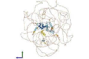 Protein Structure (PS) image for Additional Sex Combs Like 1 (ASXL1) (AA 1-1541) protein (His tag) (ABIN7552419)