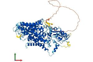 Protein Structure (PS) image for Chloride Channel, Voltage-Sensitive 7 (CLCN7) (AA 1-803) protein (His tag) (ABIN7562557)