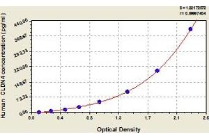 Typical Standard Curve (Claudin 4 ELISA 试剂盒)