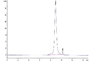 Size-exclusion chromatography-High Pressure Liquid Chromatography (SEC-HPLC) image for Interleukin 25 (IL25) (AA 33-177) protein (His-Avi Tag,Biotin) (ABIN7274923)