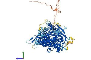 Protein Structure (PS) image for Asteroid Homolog 1 (ASTE1) (AA 1-672) protein (His tag) (ABIN7558684)