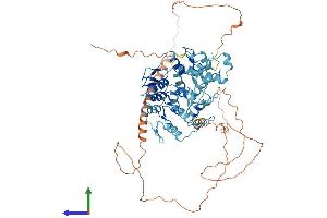 Protein Structure (PS) image for Zinc Finger Protein 81 (ZNF81) (AA 1-661) protein (His tag) (ABIN7545853)