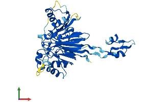 Protein Structure (PS) image for ELAC1 (ELAC1) (AA 1-363) protein (His tag) (ABIN7551486)