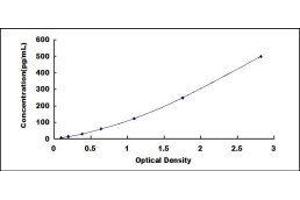 Typical standard curve (IL1A ELISA 试剂盒)