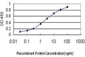 Detection limit for recombinant GST tagged GNG4 is approximately 0. (GNG4 抗体  (AA 1-75))