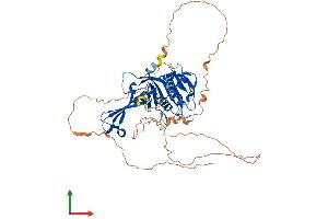Protein Structure (PS) image for Ubiquitin Specific Peptidase 17-Like 2 (USP17L2) (AA 1-530) protein (His tag) (ABIN7555874)