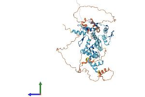 Protein Structure (PS) image for Zinc Finger Protein 307 (ZKSCAN4) (AA 1-545) protein (His tag) (ABIN7545780)