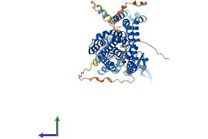 AlphaFold protein structure predicition of Human Recombinant SLC1A5 Protein, UniprotID Q15758 (SLC1A5 Protein (AA 1-541) (His tag))