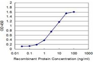 Detection limit for recombinant GST tagged RUNX2 is approximately 0. (RUNX2 抗体  (AA 251-350))