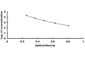 Typical standard curve