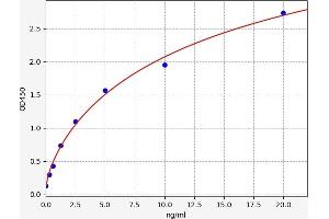 CYB5R3 ELISA 试剂盒