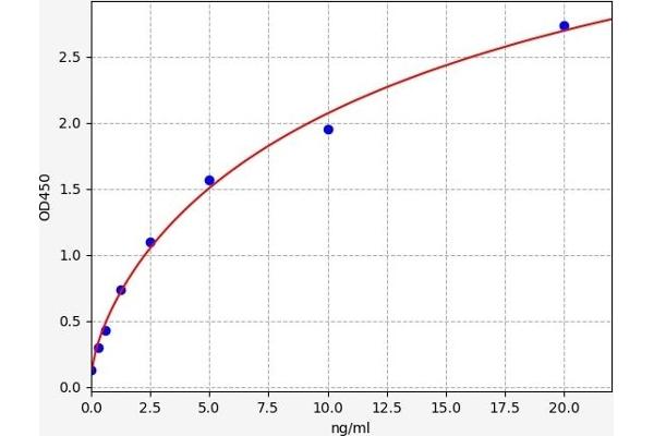 CYB5R3 ELISA 试剂盒