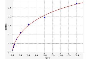 Typical standard curve (CYB5R3 ELISA 试剂盒)