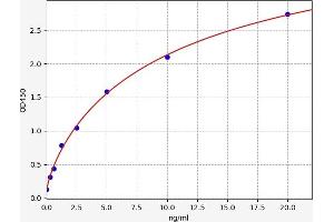Typical standard curve (BCL2L1 ELISA 试剂盒)
