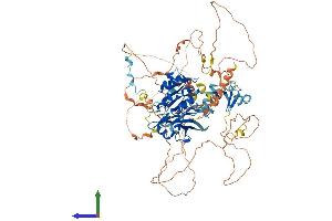 Protein Structure (PS) image for Lipin 3 (LPIN3) (AA 1-851) protein (His tag) (ABIN7554432)