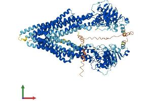 Protein Structure (PS) image for ATP-Binding Cassette, Sub-Family B (MDR/TAP), Member 1A (ABCB1A) (AA 1-1276) protein (His tag) (ABIN7562958)