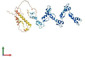 Protein Structure (PS) image for Zinc Finger Protein 154 (ZNF154) (AA 1-437) protein (His tag) (ABIN7545641)