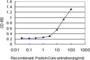Detection limit for recombinant GST tagged ANGPTL6 is approximately 1ng/ml as a capture antibody. (ANGPTL6 抗体  (AA 211-299))