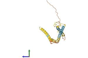 AlphaFold protein structure predicition of Mouse Recombinant Timm23 Protein, UniprotID Q9WTQ8