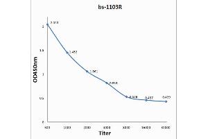 Antigen: 0. (PD-L1 抗体  (AA 201-290))
