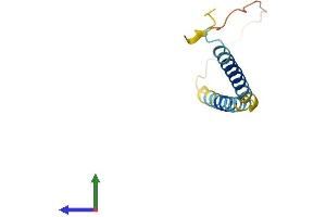 Protein Structure (PS) image for WW Domain Binding Protein 5 (WBP5) (AA 1-104) protein (His tag) (ABIN7561371)