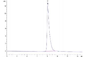 Size-exclusion chromatography-High Pressure Liquid Chromatography (SEC-HPLC) image for alpha-Fetoprotein (AFP) (AA 19-609) protein (His tag) (ABIN7273809)